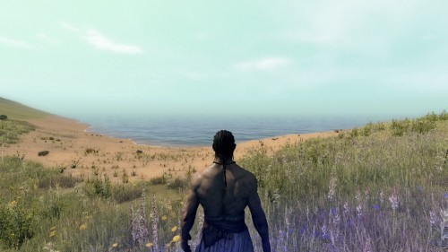 Life Is Feudal